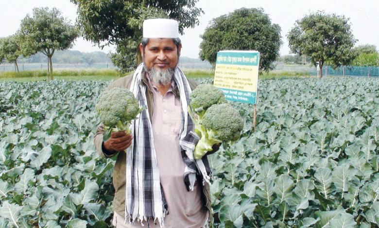 Broccoli Cultivation Guide Learn Broccoli Growing in India