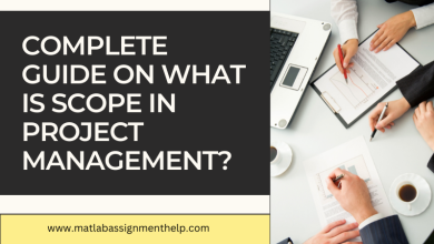 Complete Guide on What Is Scope in Project Management